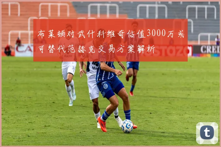 布莱顿对武什科维奇估值3000万或可替代范赫克交易方案解析