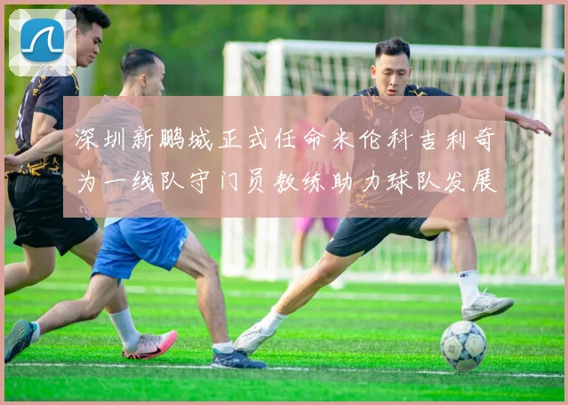 深圳新鹏城正式任命米伦科吉利奇为一线队守门员教练助力球队发展
