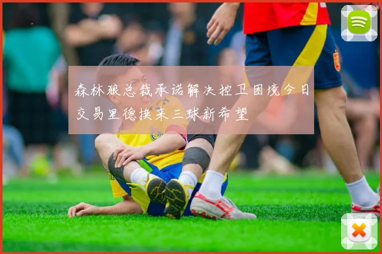 森林狼总裁承诺解决控卫困境今日交易里德换来三球新希望
